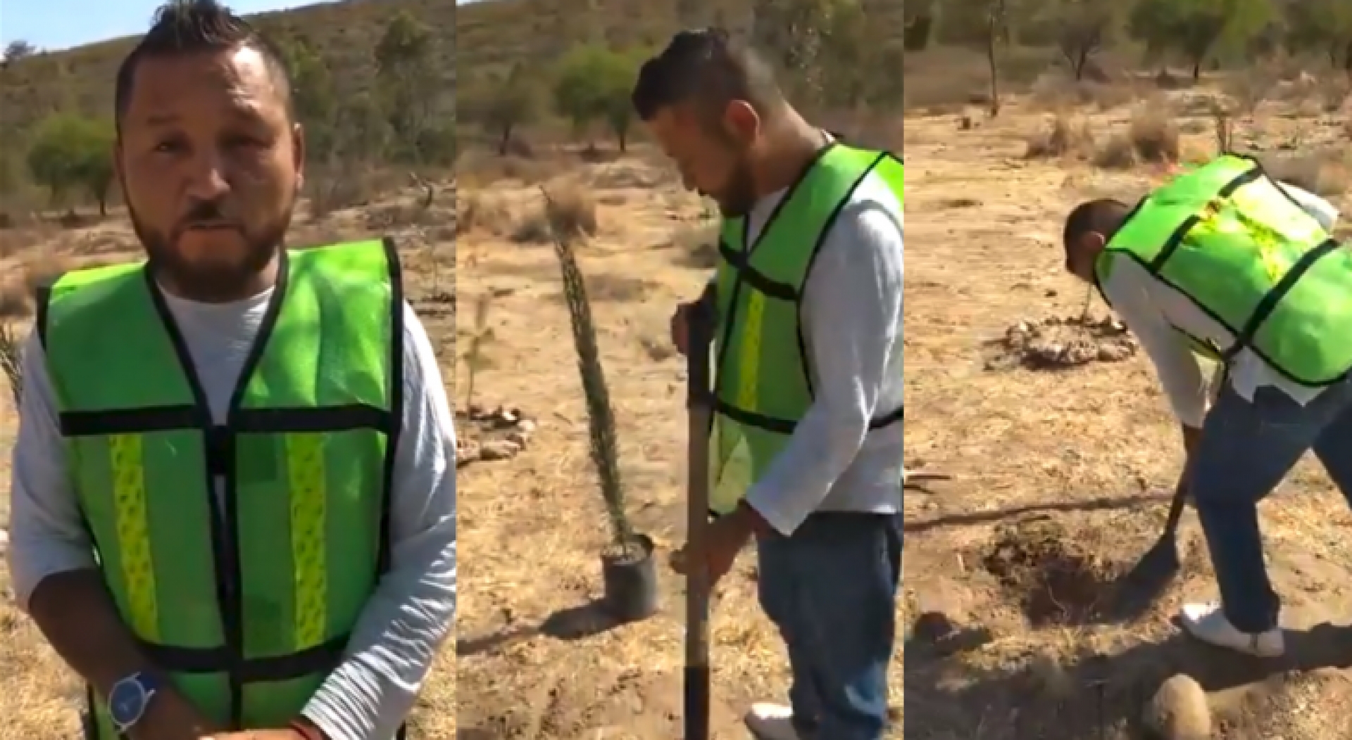 “El Mijis” lanza #PasenseDeVerdeChallenge para sembrar un árbol, y reta a Clouthier y Ebrard a participar