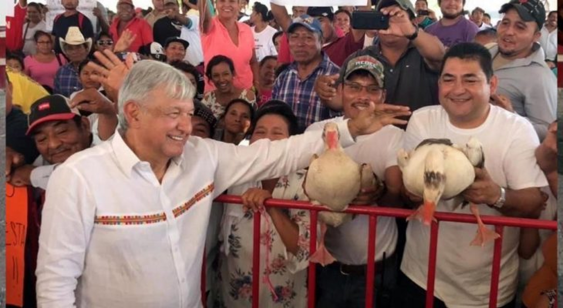 'Me canso ganso', la frase de AMLO que se convertirá en programa de TV