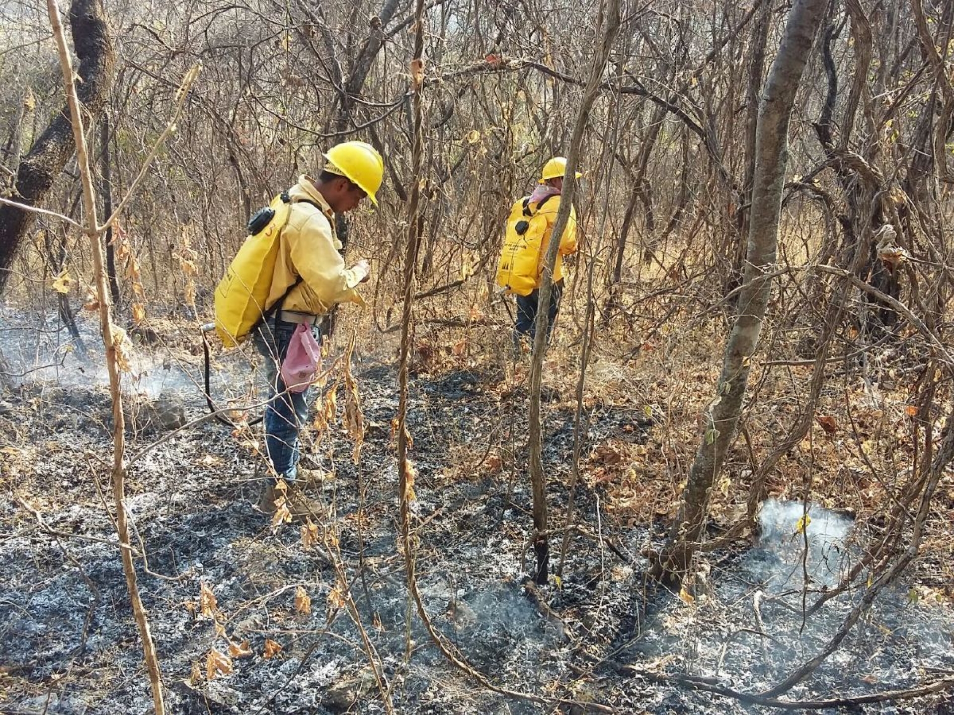 Sofocan incendio forestal en Temixco