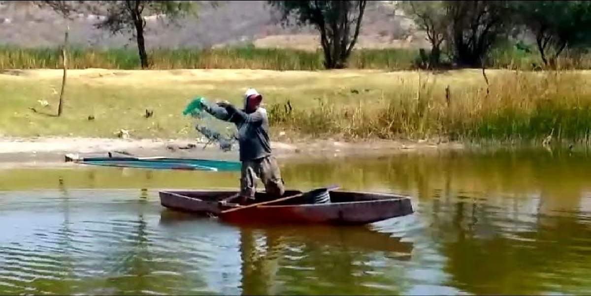 Pescadores buscan apoyo oficial para reactivar su actividad