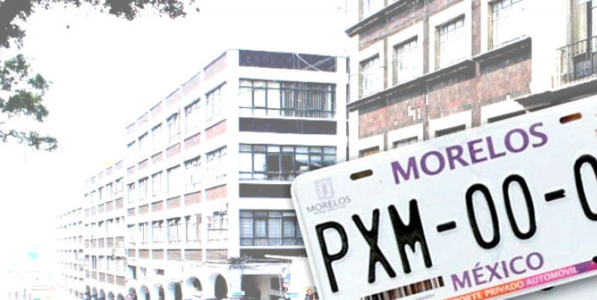 Reitera Mercado Salgado que es fundamental el reemplacamiento