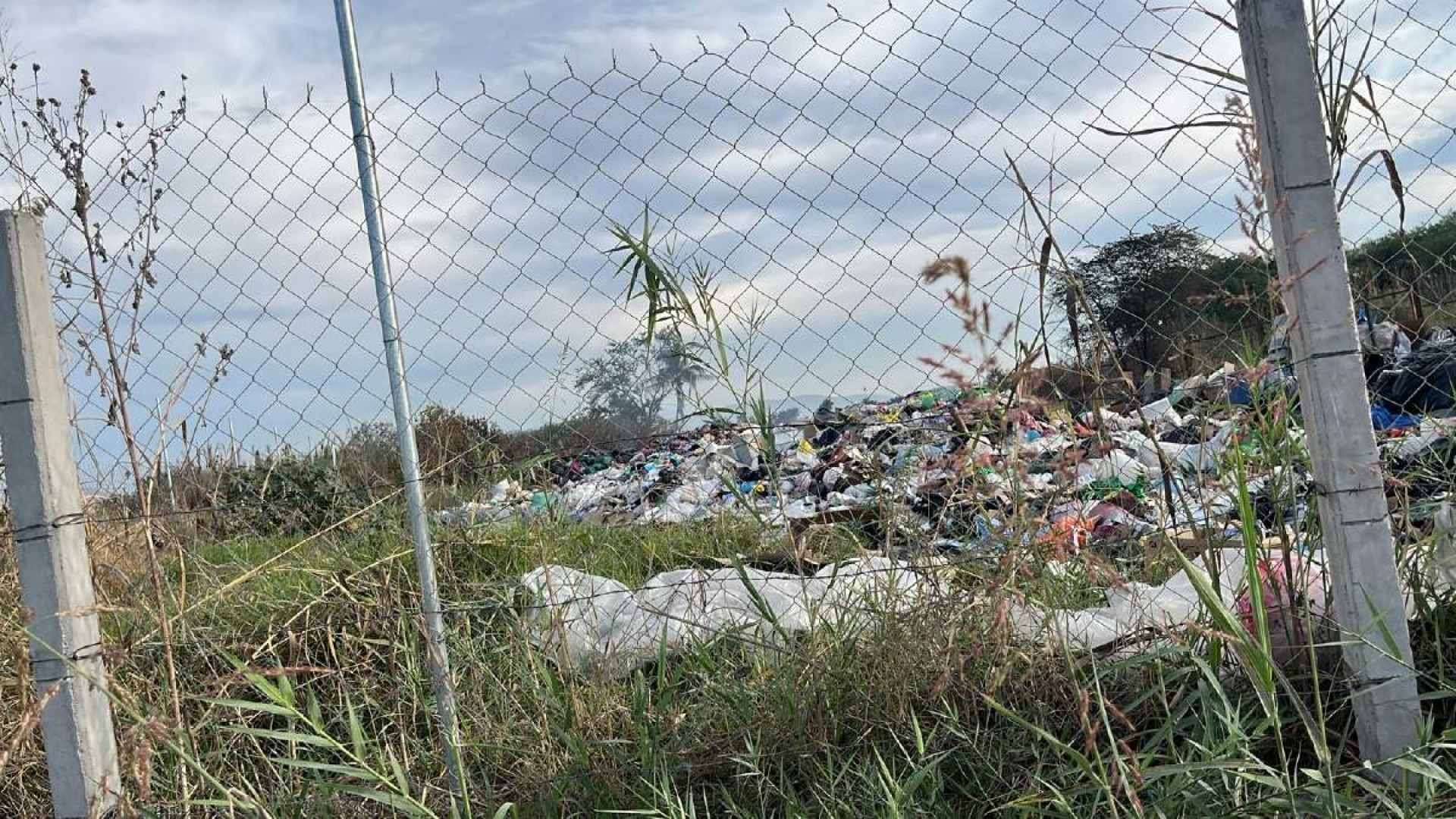 Recolectores de basura de Zacatepec dañan el ambiente