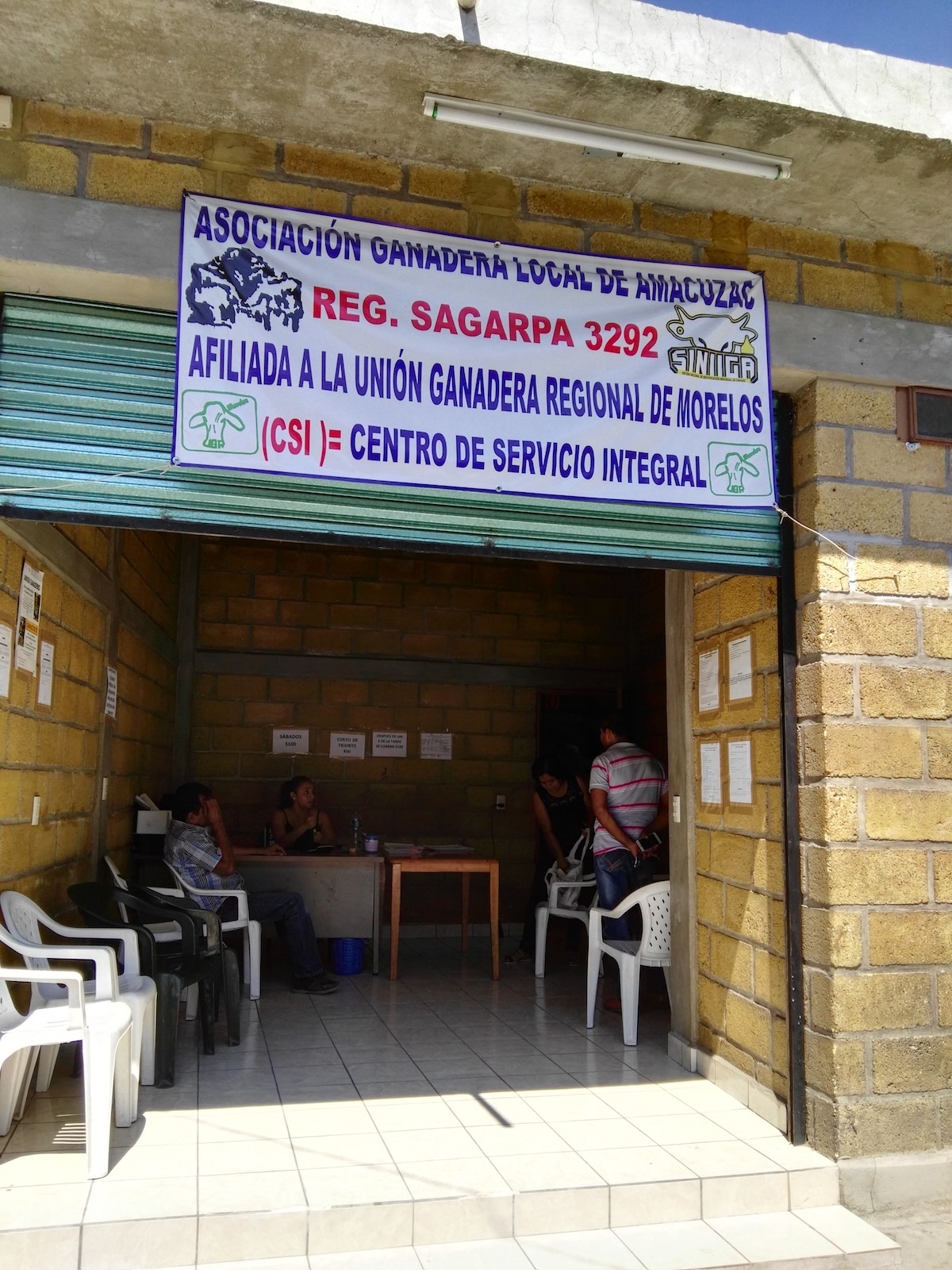 Cerca de un 75 % de los ganaderos de Amacuzac han cumplido el trámite del aretado