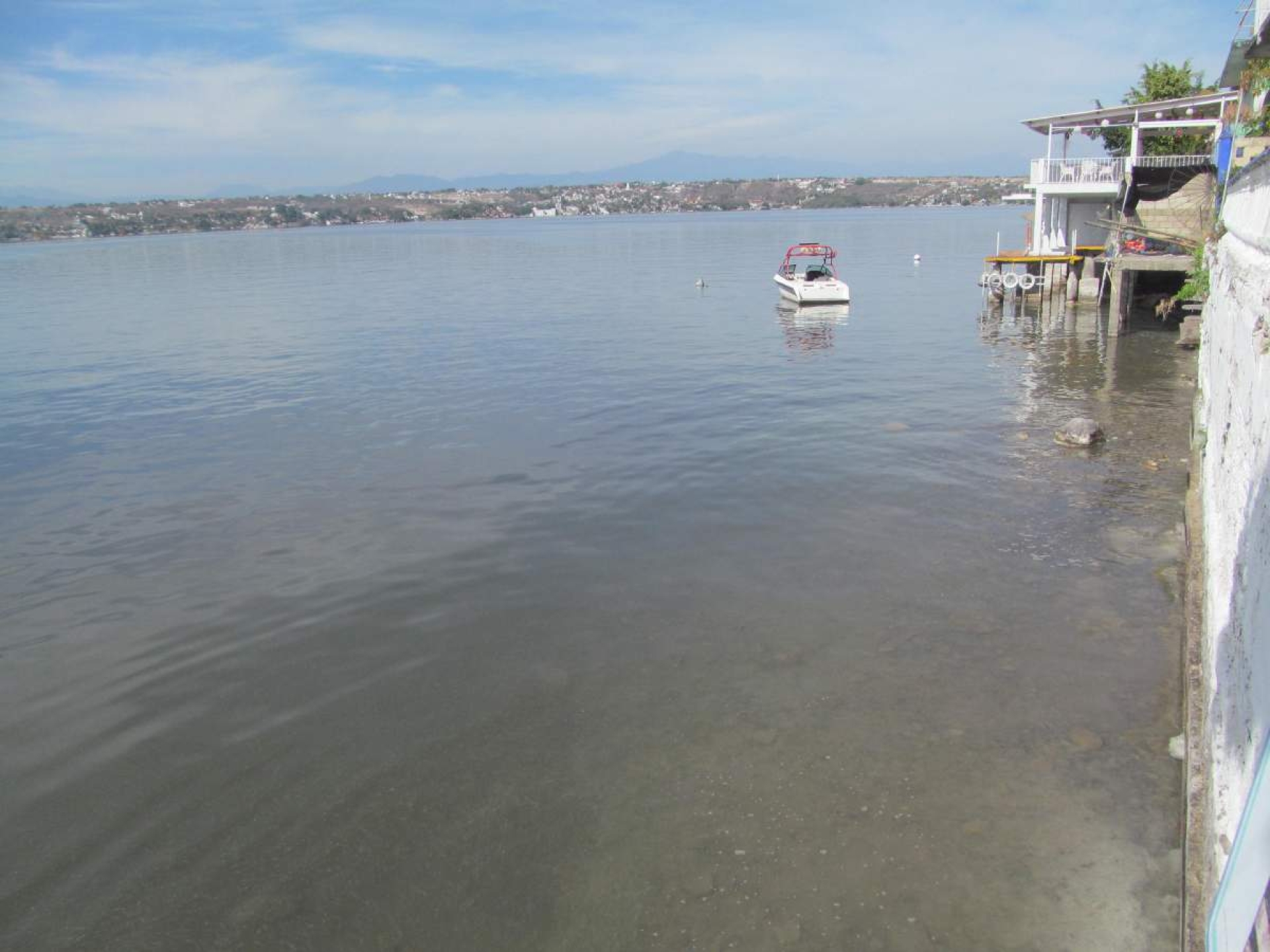 Termina fenómeno del 'vuelco' en lago de Tequesquitengo