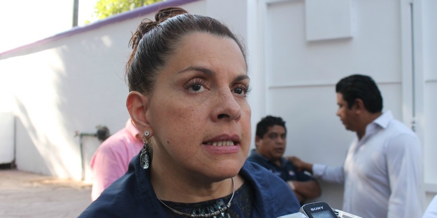 Respecto a la influenza se deben tomar acciones y "no caer en la psicosis": Mora González