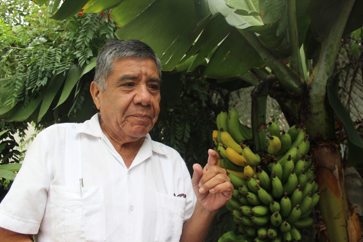 Luis Gil Salgado