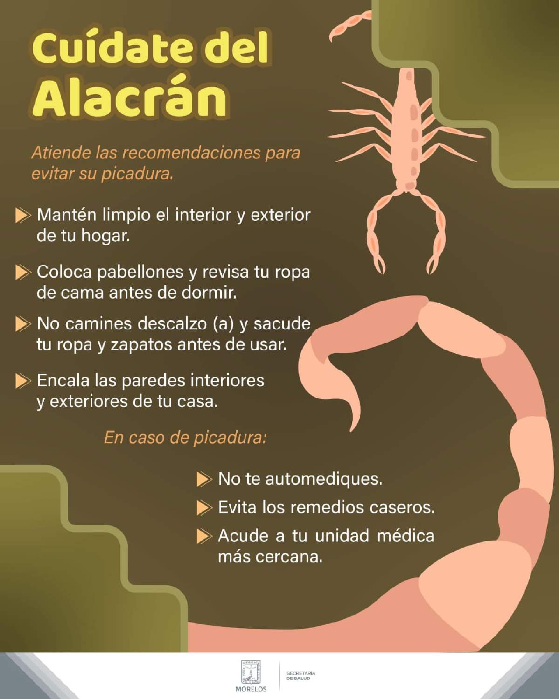 Siguen al alza casos de picadura de alacrán