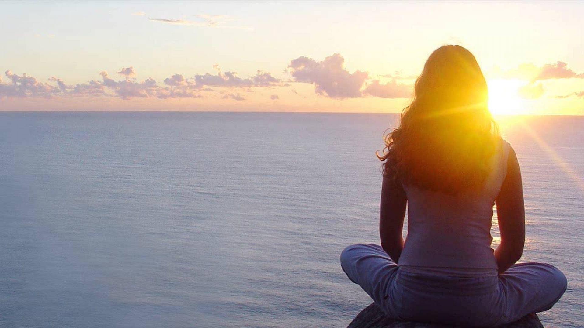 Resiliencia, mediación y cultura de la paz II