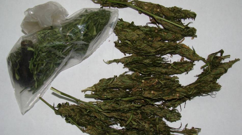 Detienen a un joven en posesión de marihuana