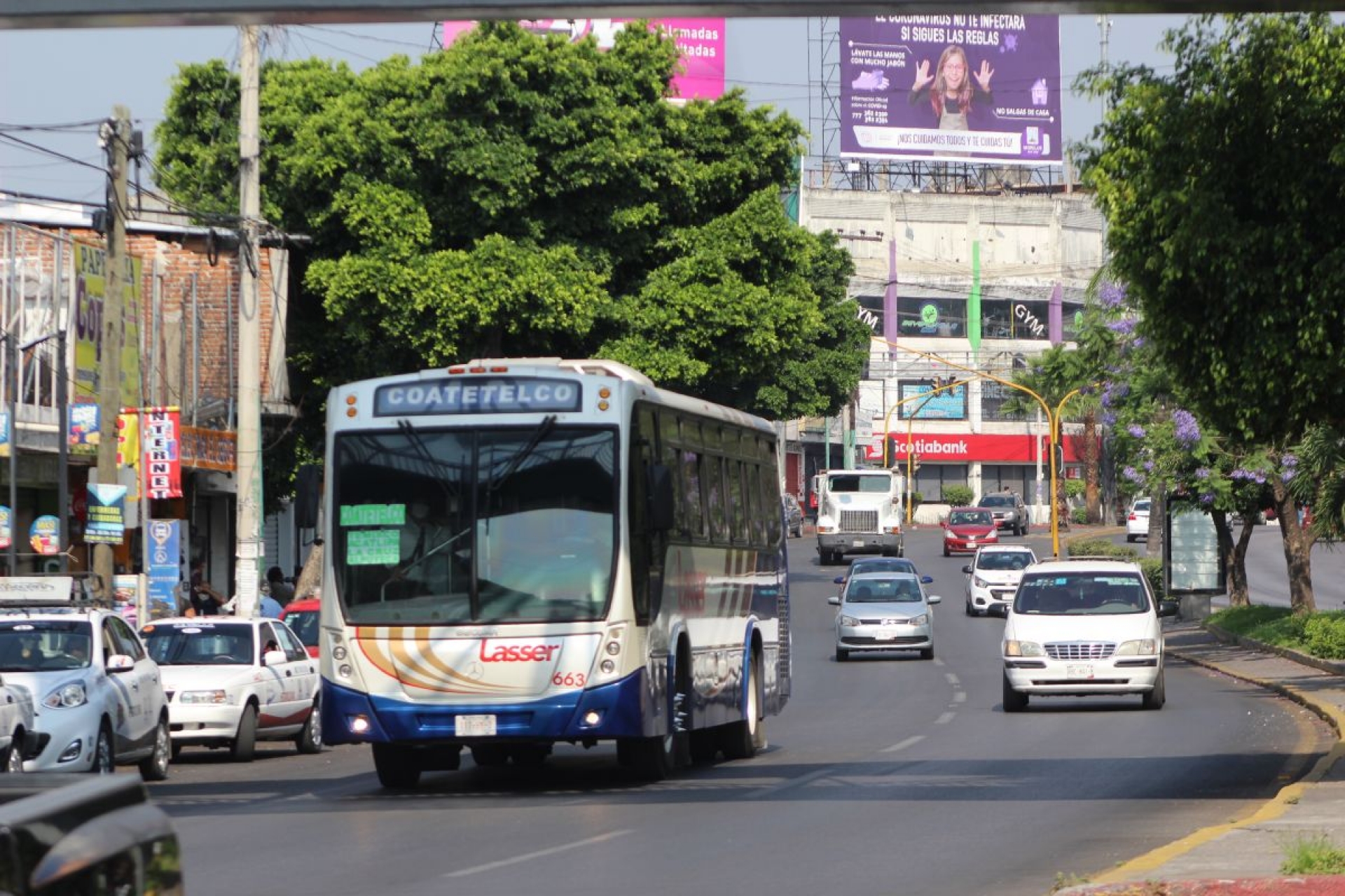 Condonan impuestos a propietarios de automóviles