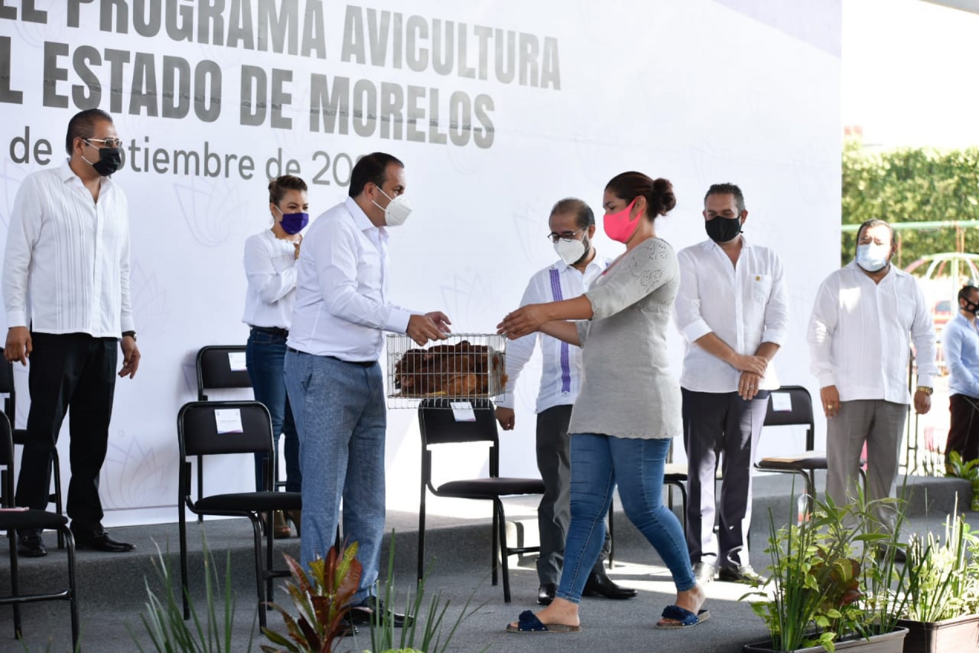 Entrega gobernador apoyos del programa 'Avicultura de traspatio', en Temixco