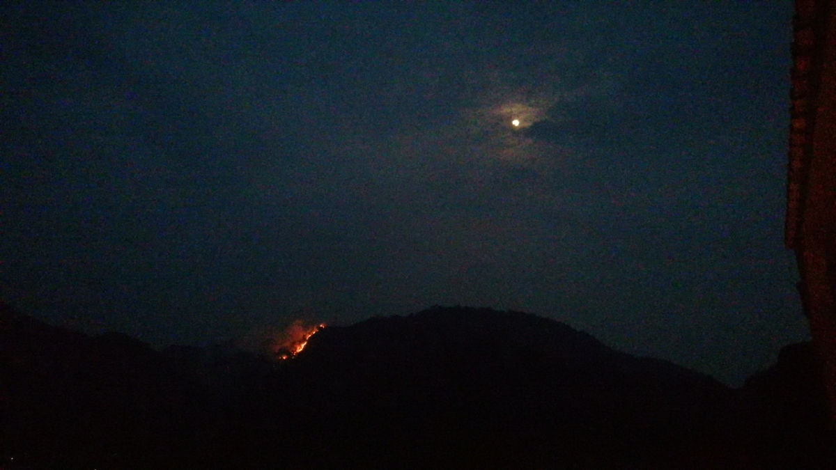 Activos, cinco incendios: dos en Cuernavaca y tres en Tepoztlán: EEMI