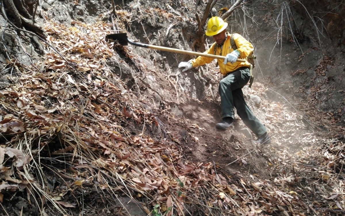 Combaten incendio forestal en paraje 'Los Corredores' de Tepoztlán