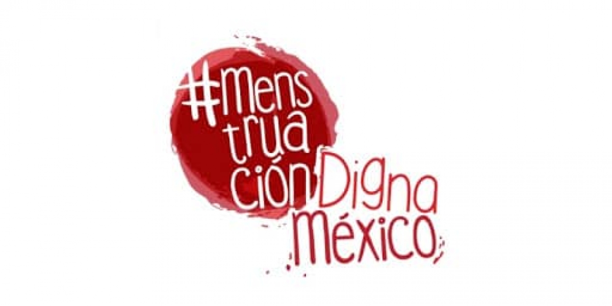 Diputados aprueban Ley de Menstruación Digna
