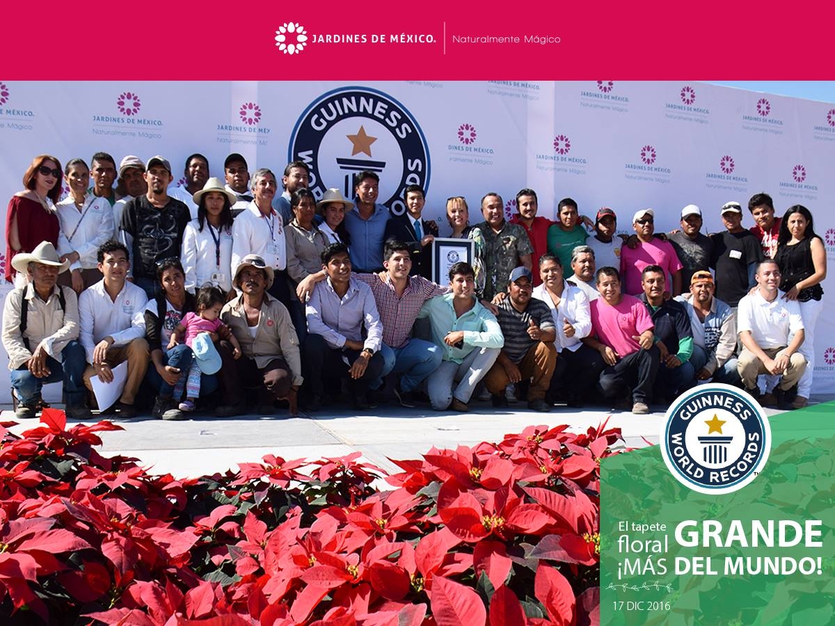 Jardines de México logra Récord Guinness por tapete floral más grande del mundo