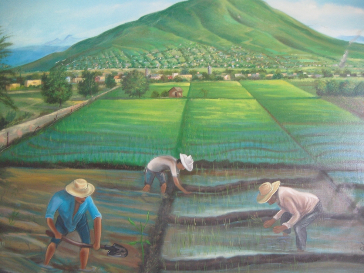 Le buscan mercado al arroz jojutlense