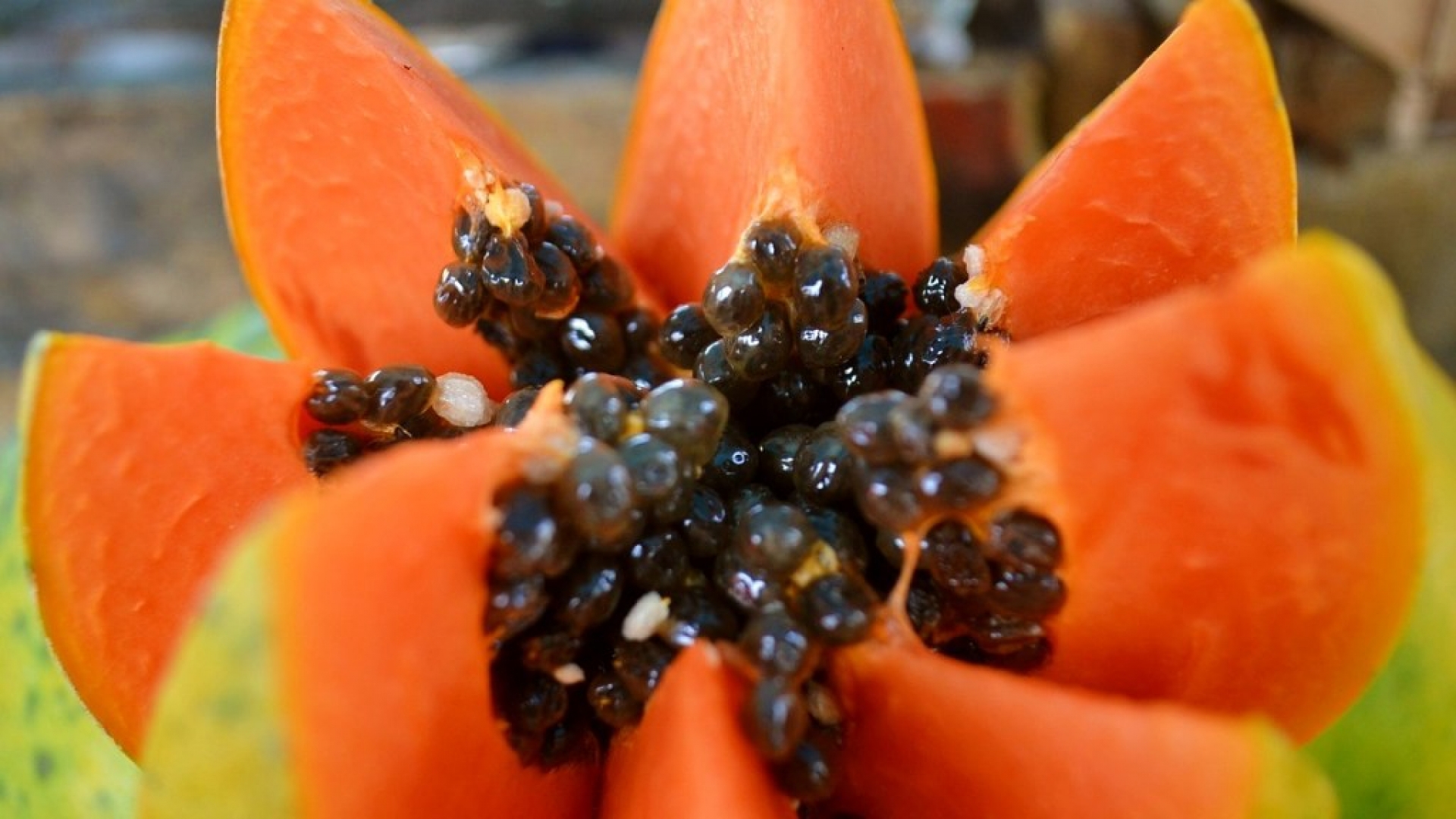 ¿Cuáles son los beneficios de comer semillas de papaya?