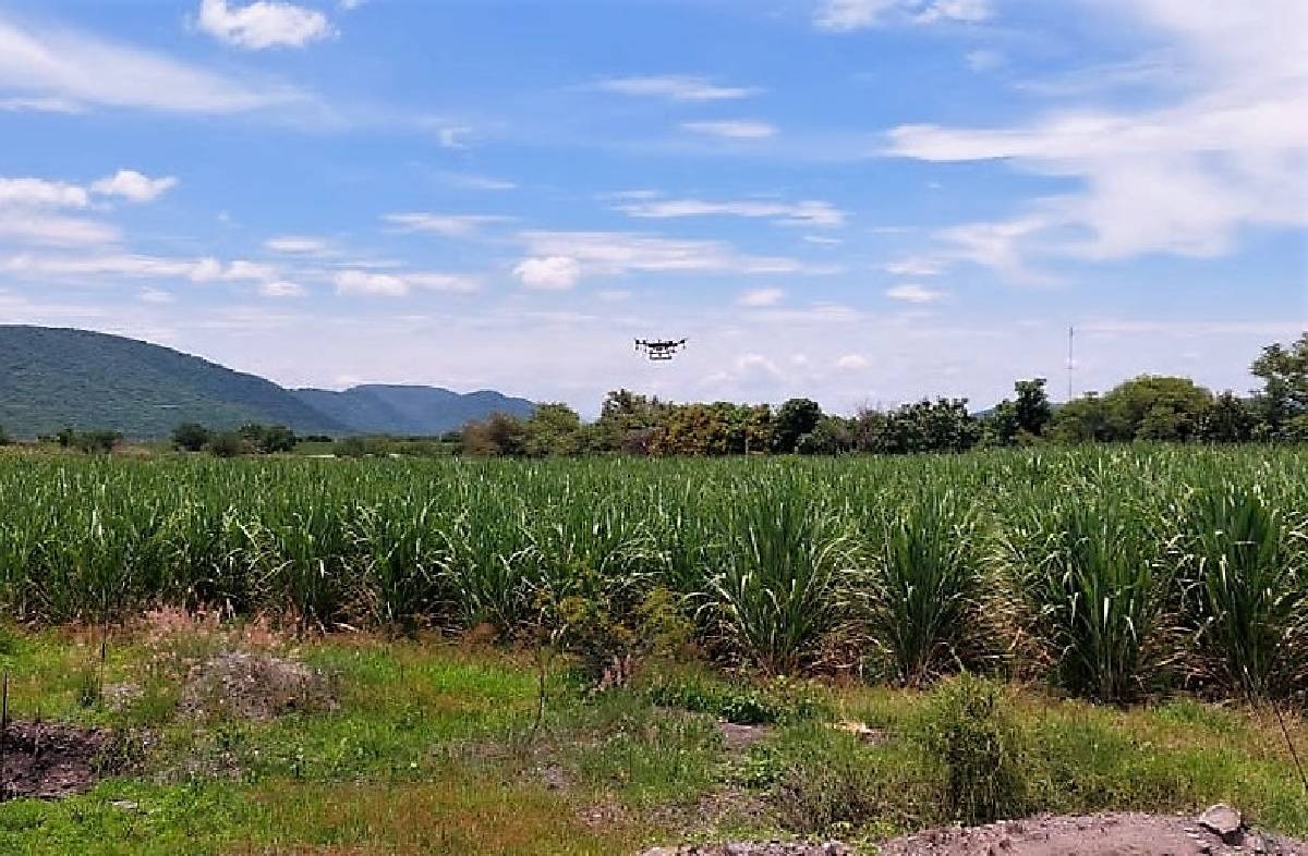 Utilizan drones para fumigar cultivos en Ayala