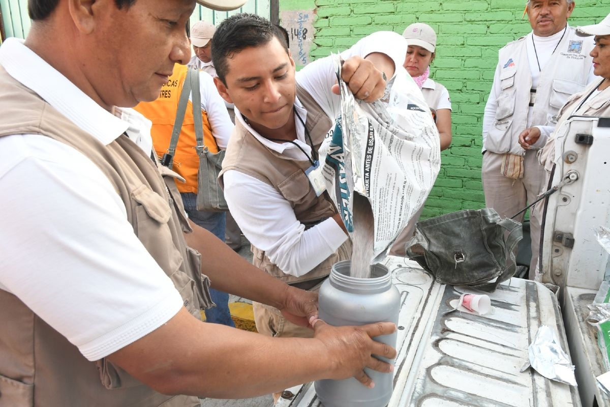 Refuerzan combate contra enfermedades transmitidas por vectores en Cuautla