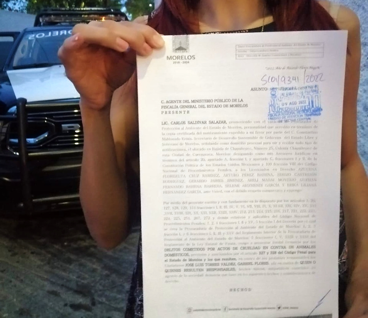 Lleva Propaem ante FGE denuncia por caso de crueldad animal contra gatitos en Tetecala