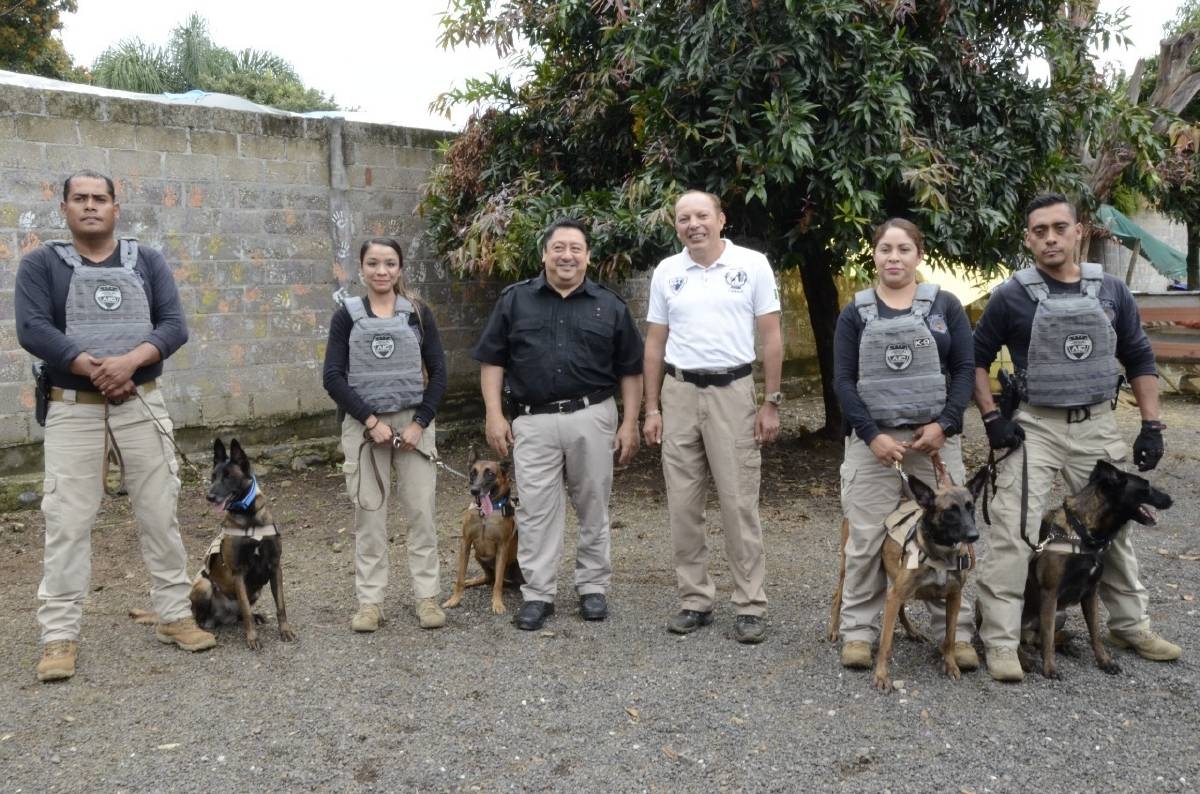 Certifica FGE a perros entrenados en búsqueda de personas y drogas
