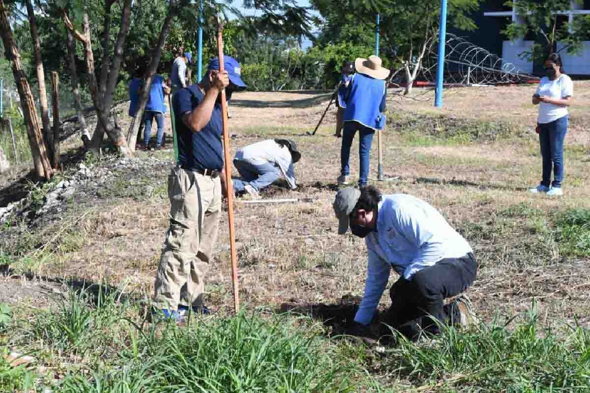 Avanza programa de reforestación en Cuautla
