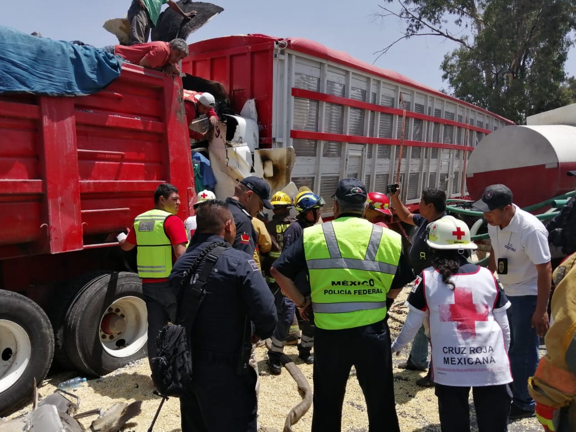 Atiende PF choque entre dos unidades pesadas, en carretera a Izúcar de Matamoros