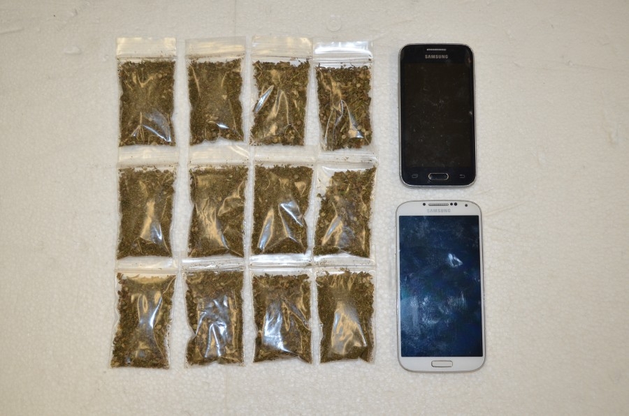 Llevaba una docena de bolsitas con marihuana