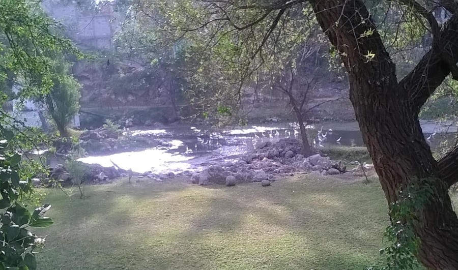 Resaltan paulatina recuperación del río Cuautla