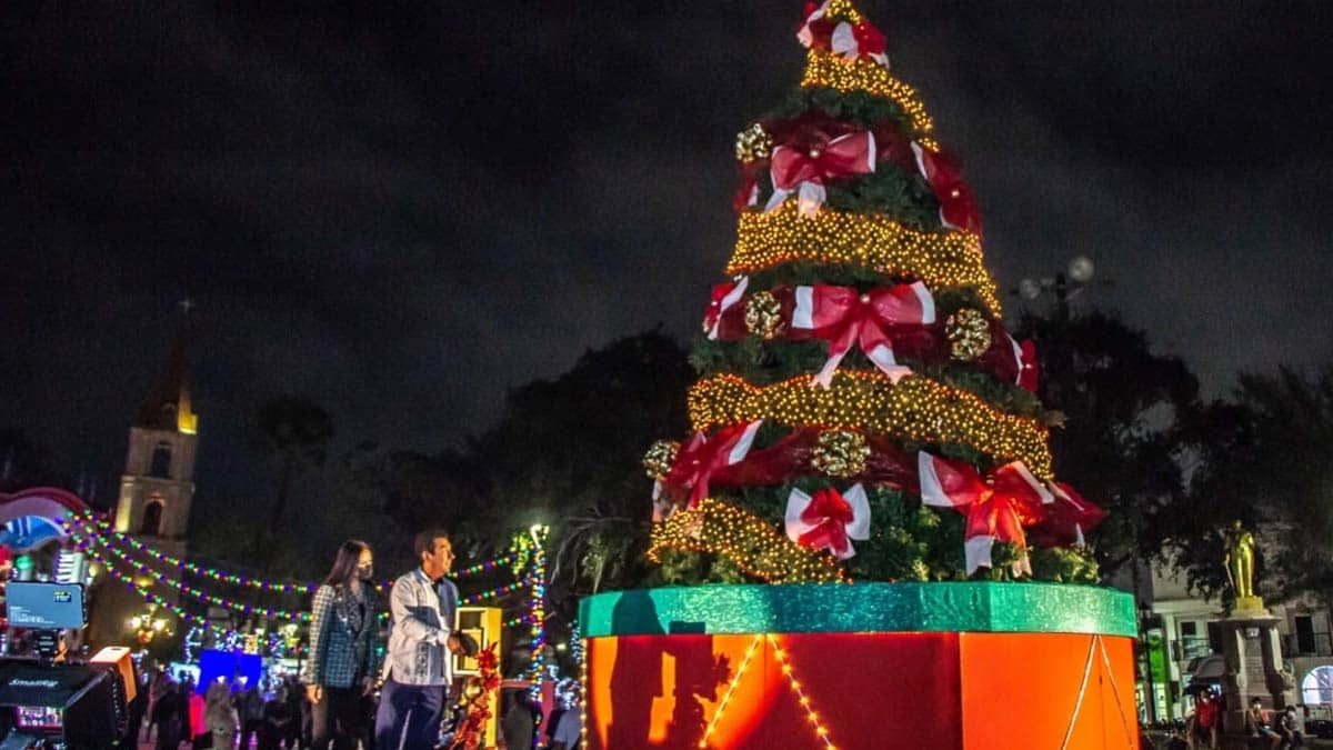 Alcalde de Matamoros prende árbol de Navidad y se electrocuta