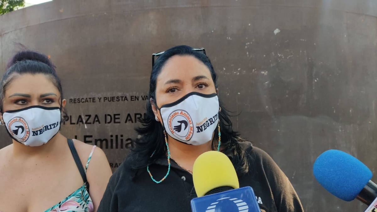Organizaciones animalistas exigen a la Fiscalía castigo severo al hombre que quemó vivos a varios gatos