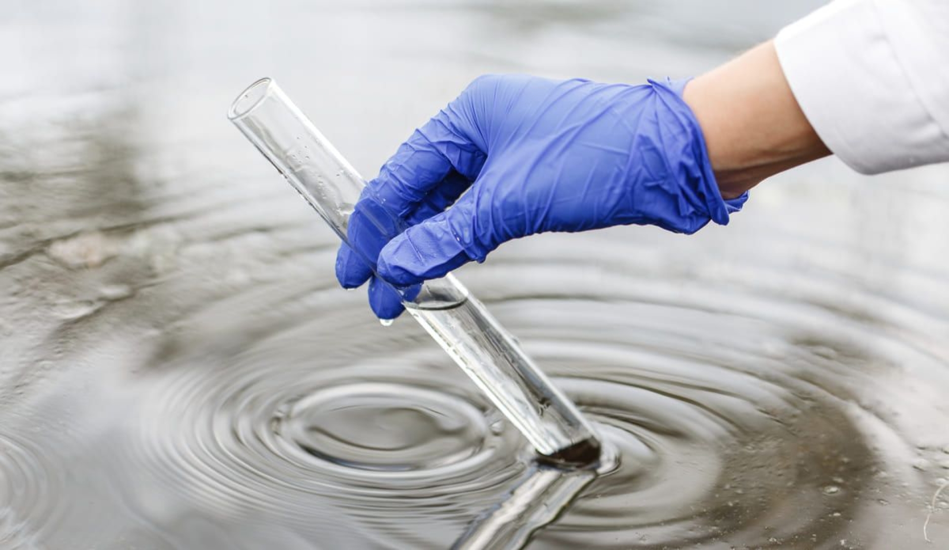 Día Mundial del Control de la Calidad del Agua promueve conciencia y acción global