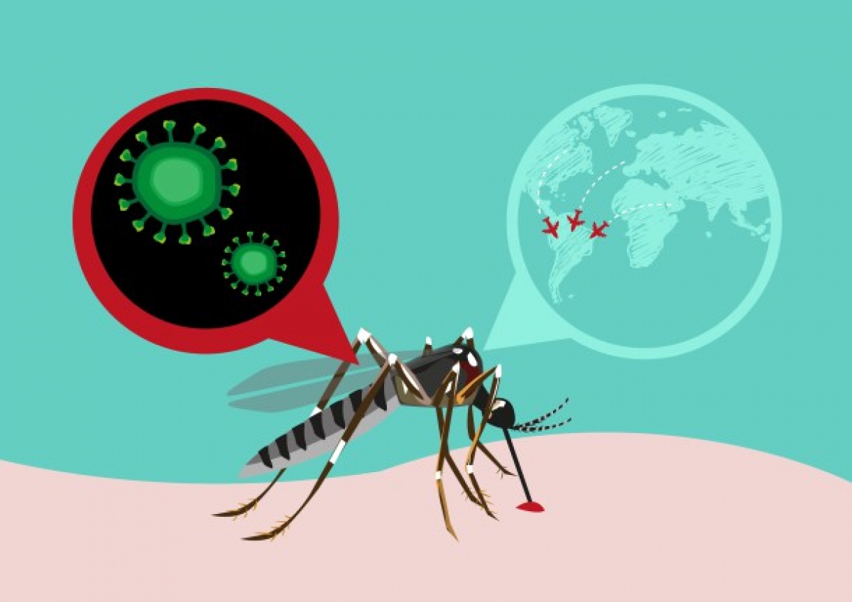 La primera vacuna contra el zika se probará en seres humanos este año