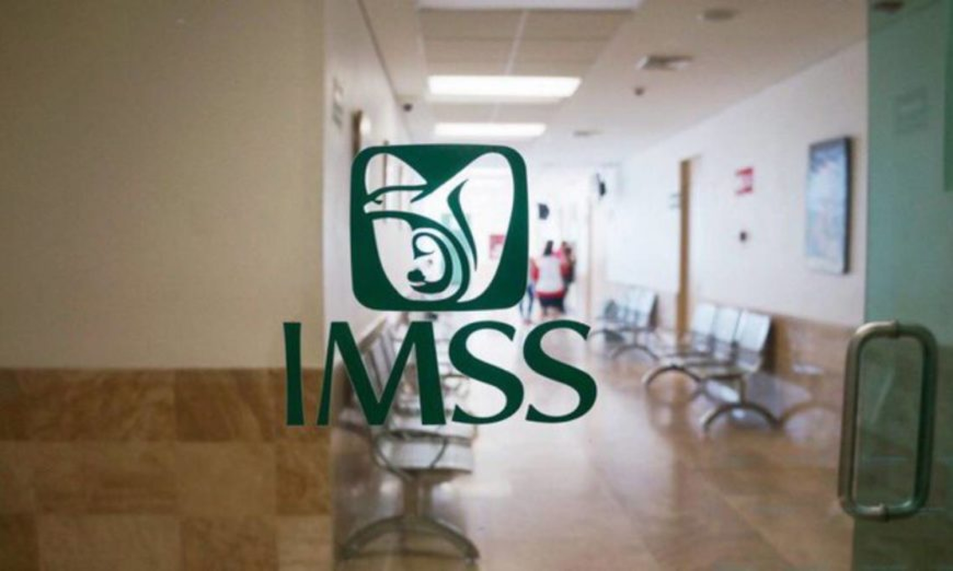 ¿No eres derechohabiente del IMSS?; mira qué hacer si tienes síntomas de COVID-19