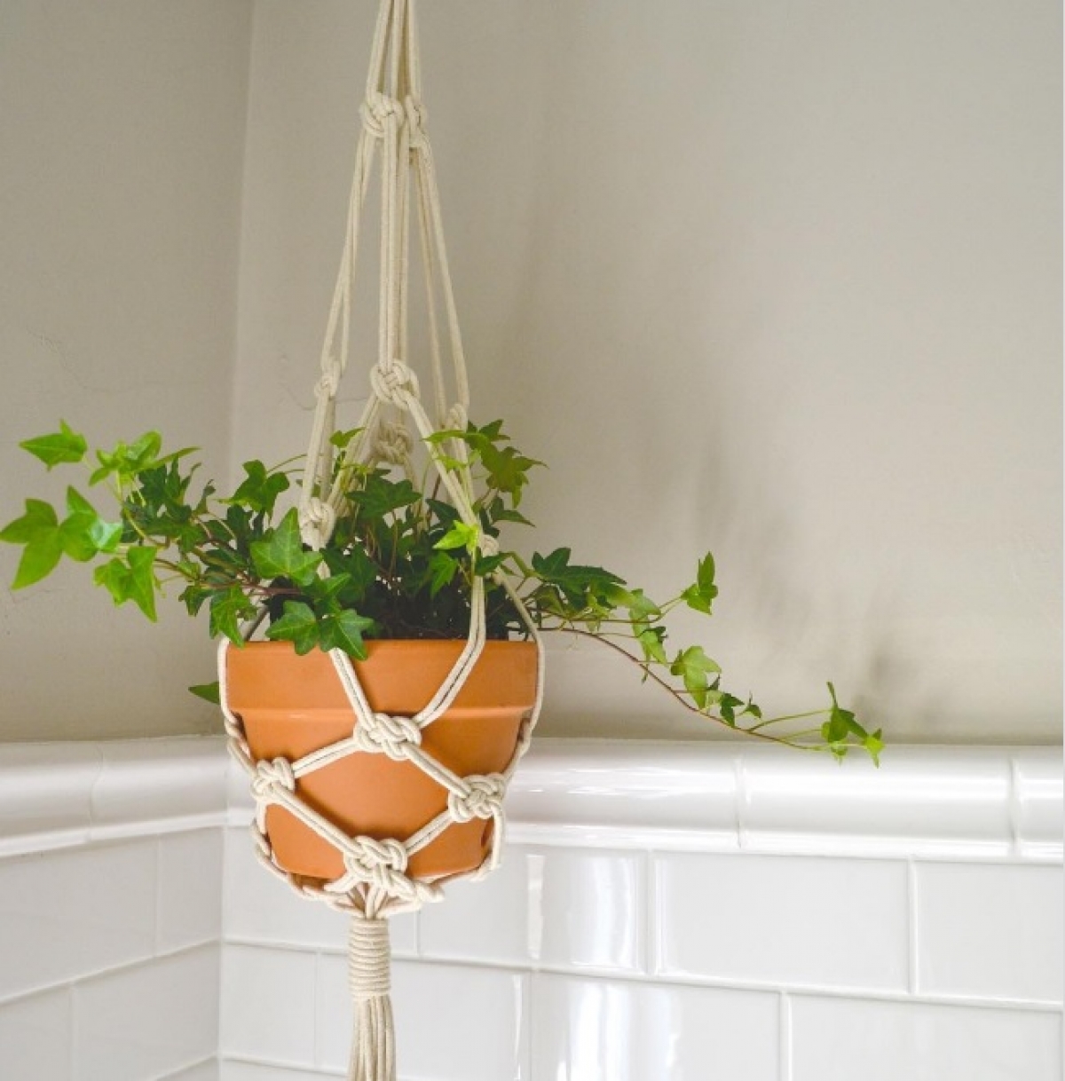 ¡Las plantas en la ducha son la nueva tendencia! Y se ven realmente geniales