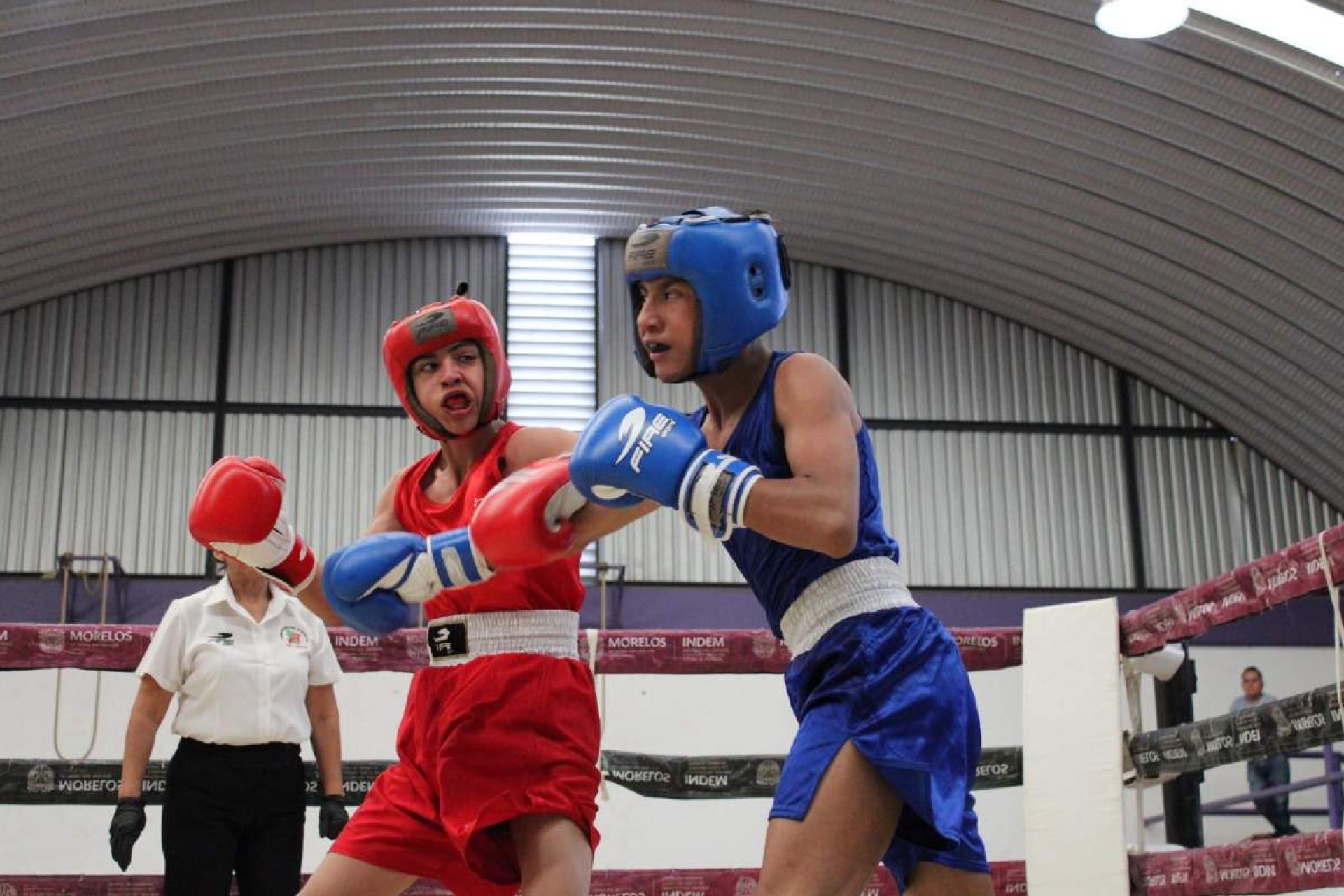 Buscan a los mejores boxeadores morelenses