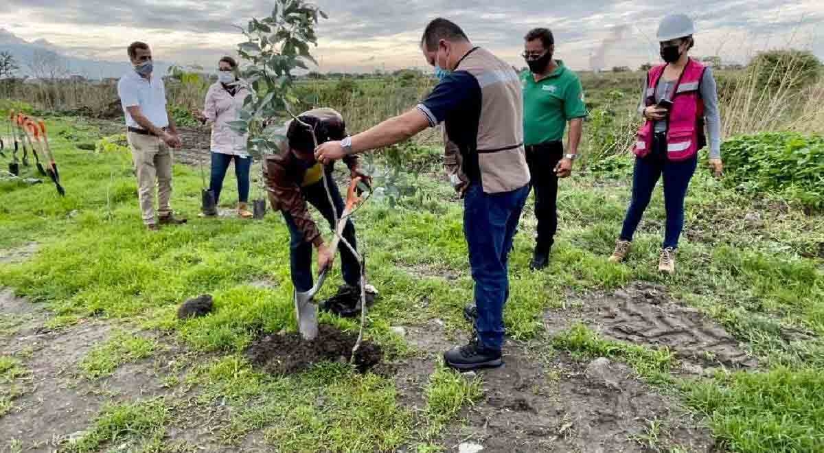 Celebran el Día Mundial del Árbol con jornada de reforestación