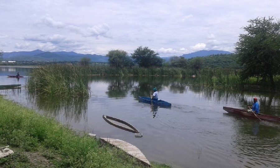 Vigilan lagunas de Miacatlán para frenar pesca clandestina