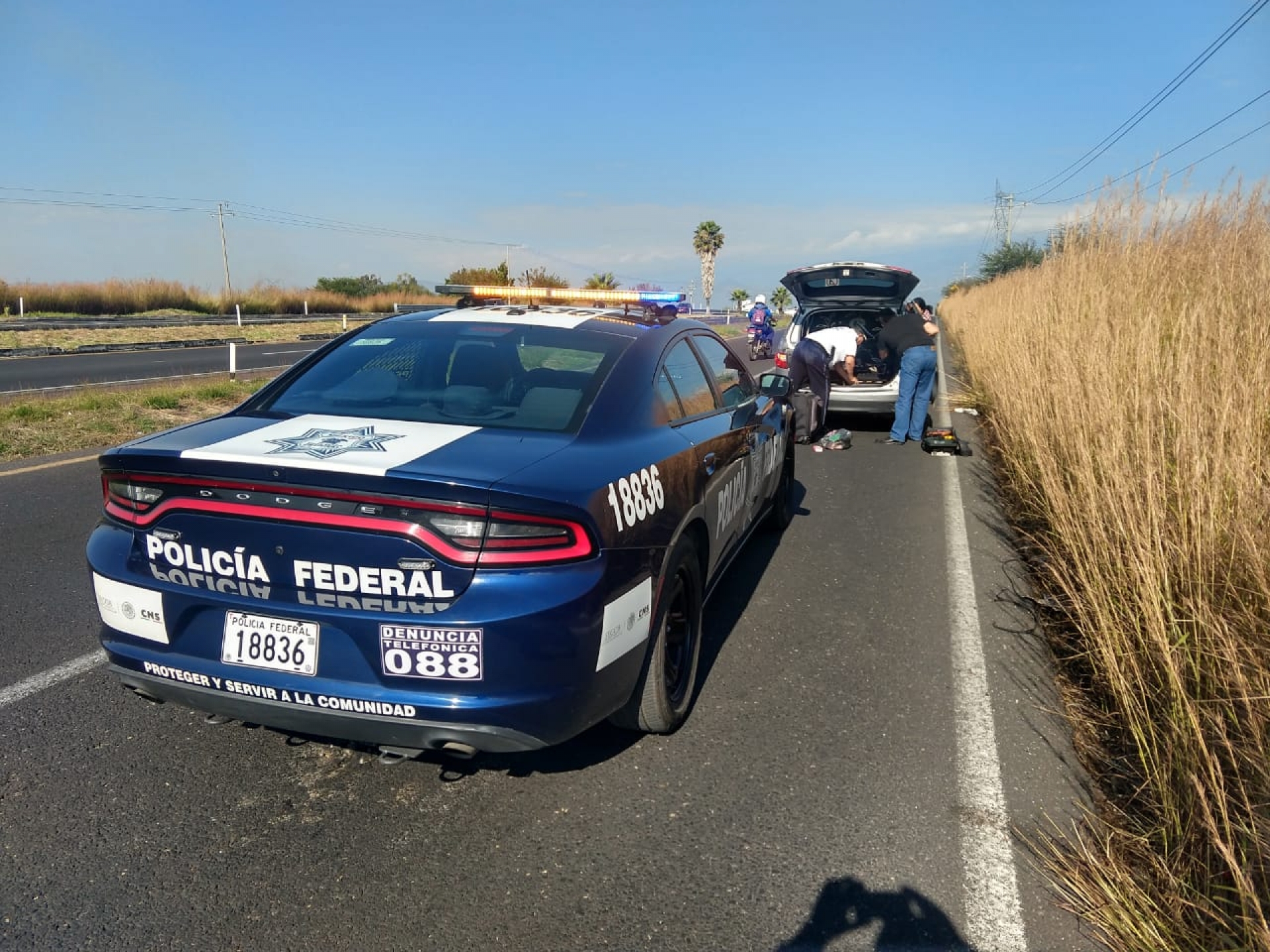 Continúa PF realizando operativo 'Caballeros del Camino'