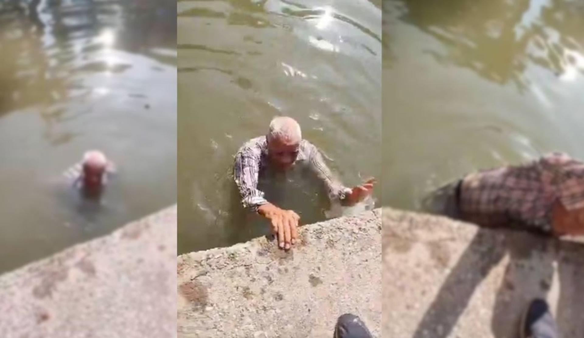 Viral en Tampico: rescatan a adulto mayor a segundos de ser atacado por cocodrilo
