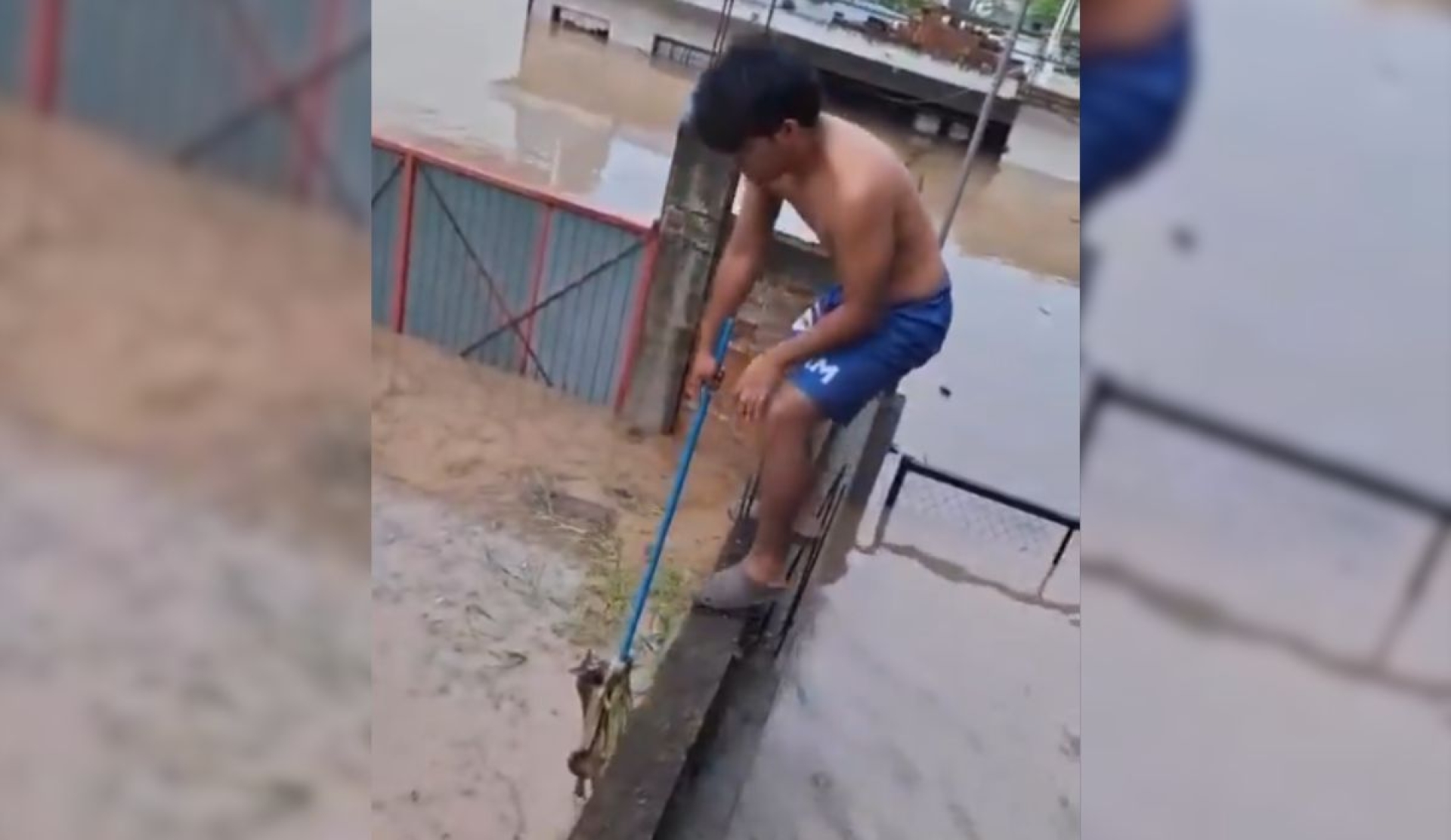 Niño se vuelve héroe viral tras rescatar gatito durante inundaciones en Veracruz