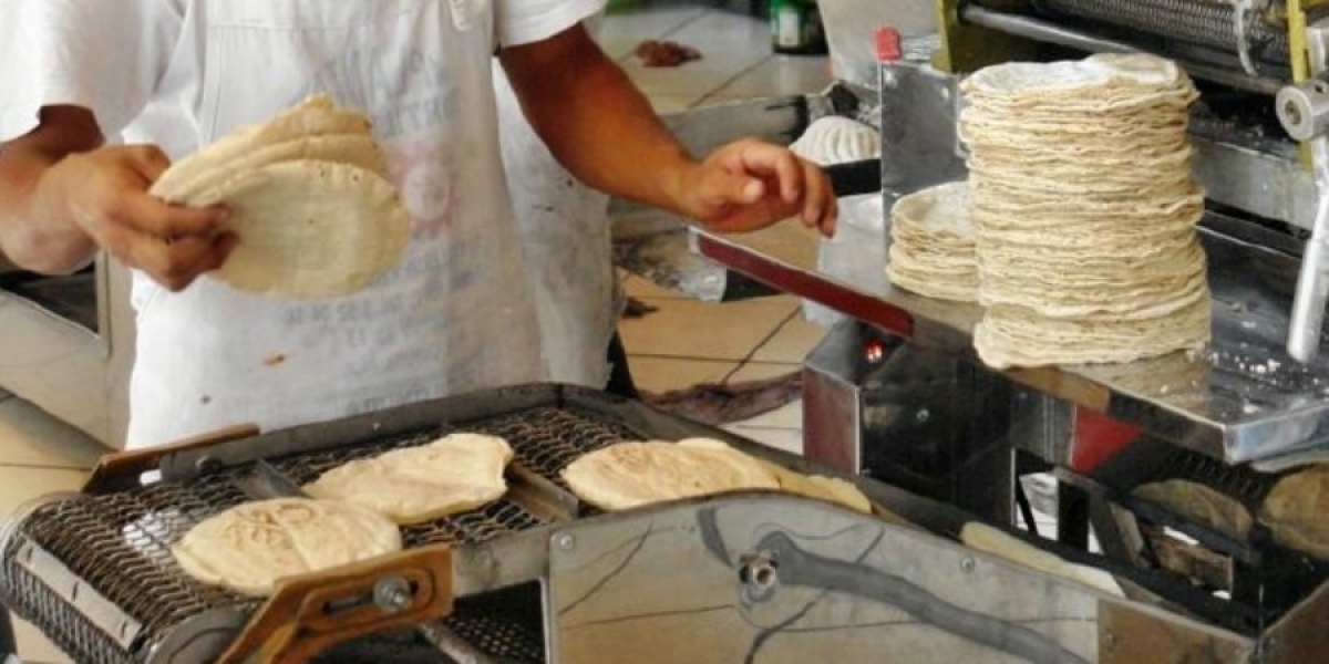 Prevén incremento en el precio de la tortilla, el próximo año