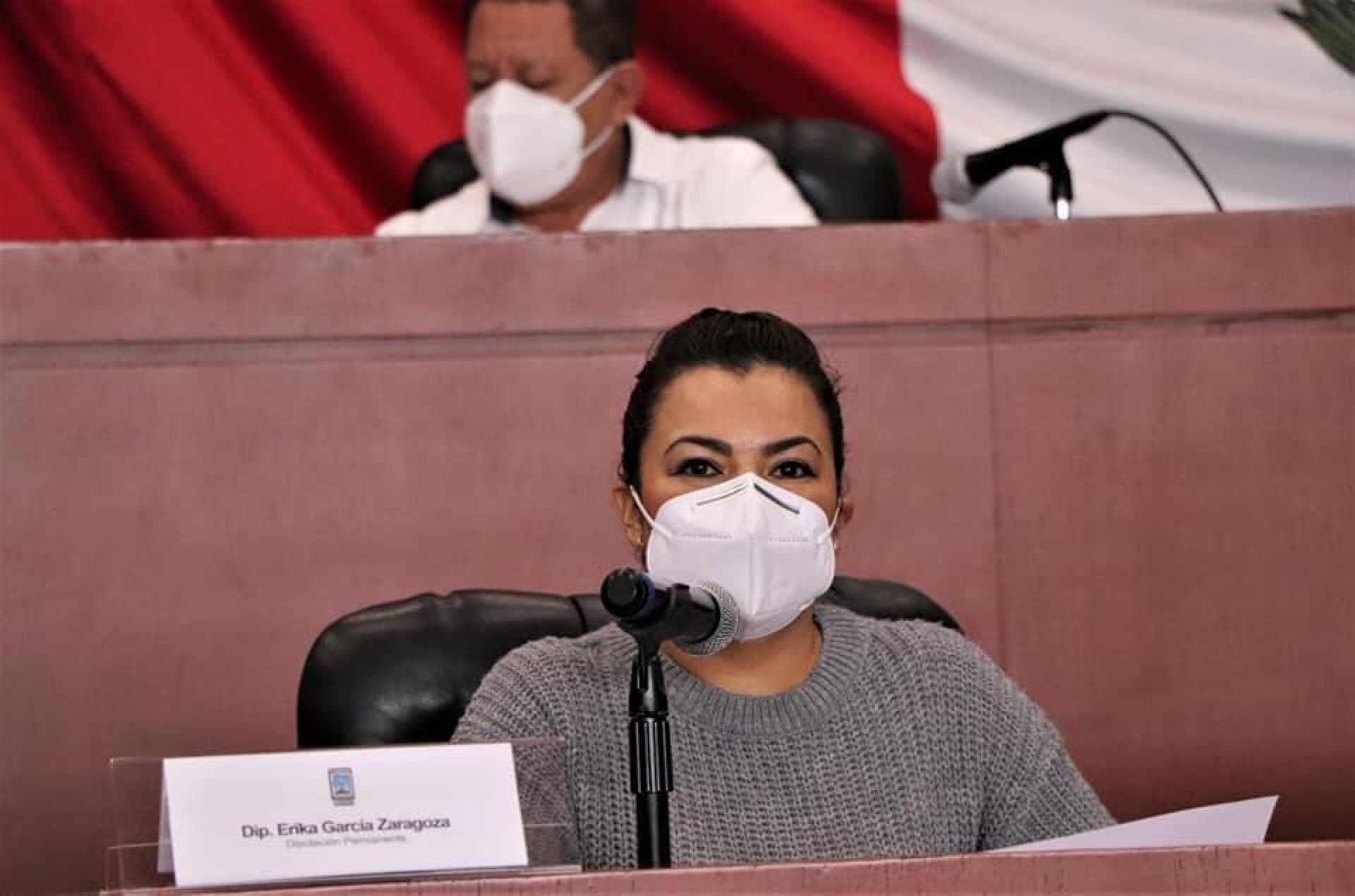 Niega diputada que GP PES 'solape' actuaciones indebidas de sus integrantes