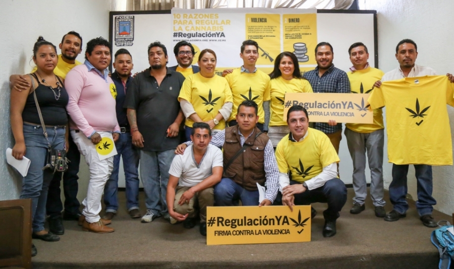 Respaldan diputados iniciativa ciudadana para despenalizar diversos usos de la marihuana