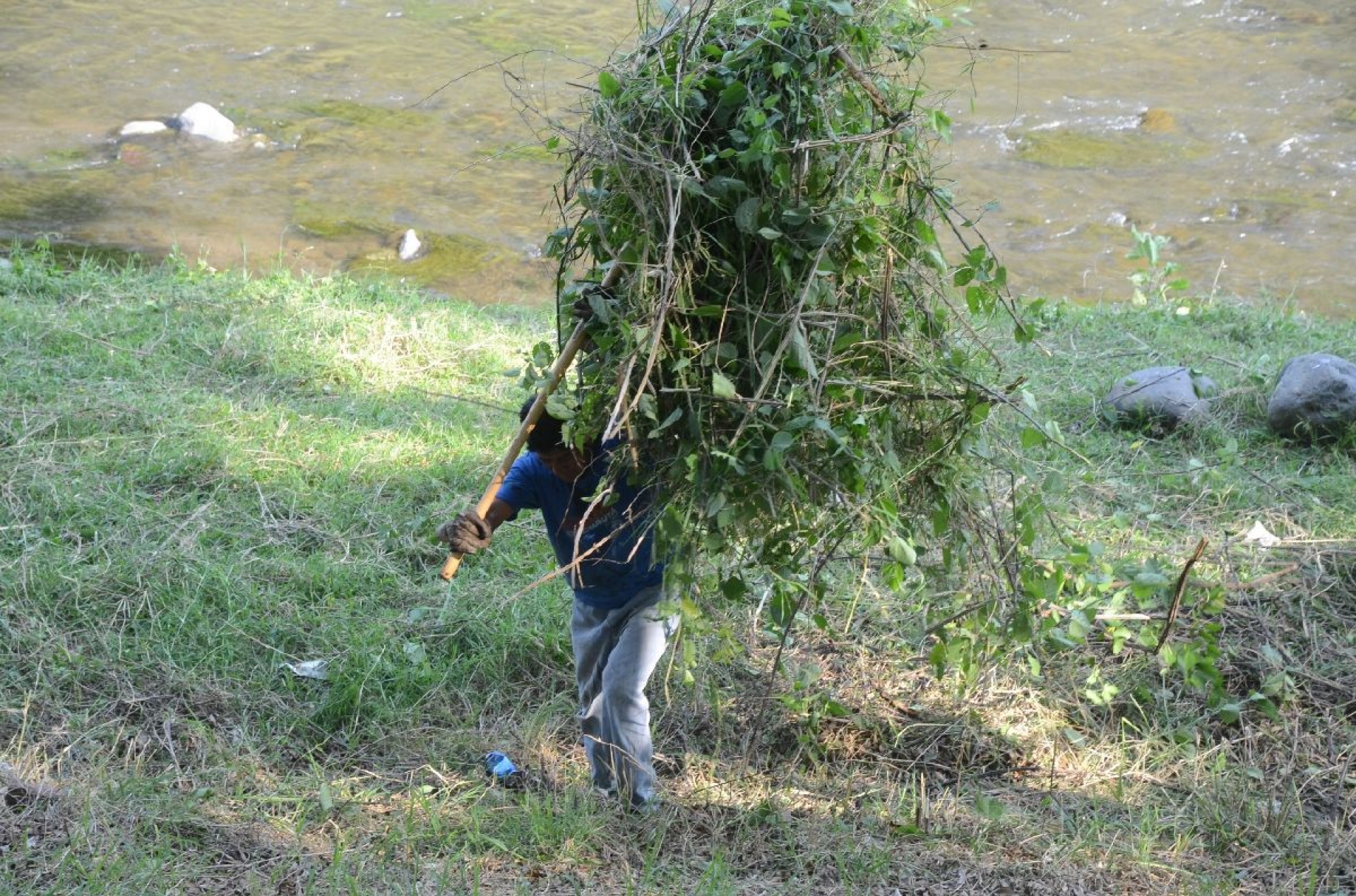Limpian los andadores del río Cuautla