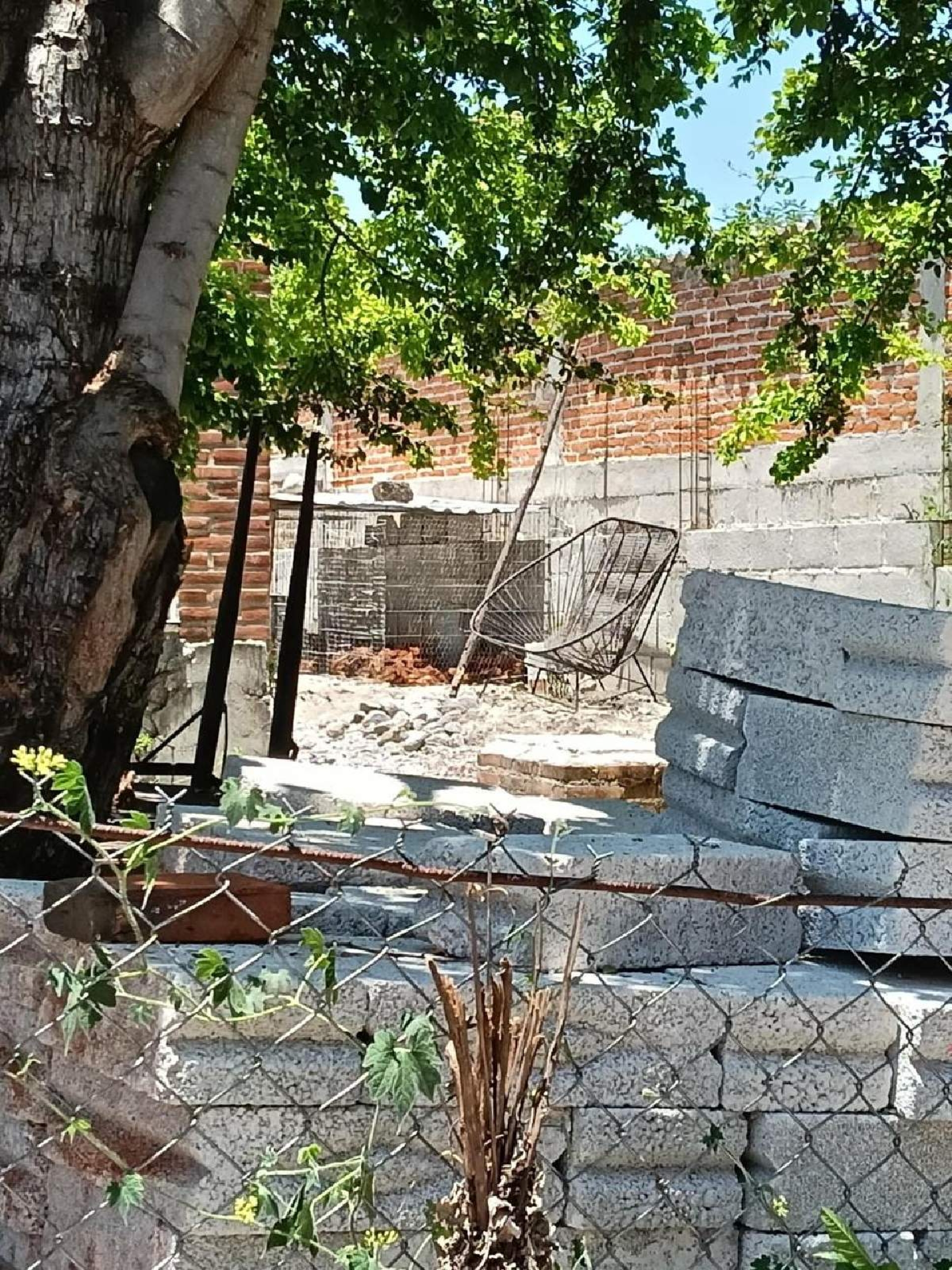 Denuncian operación irregular de incubadora de pollos en Tetecala