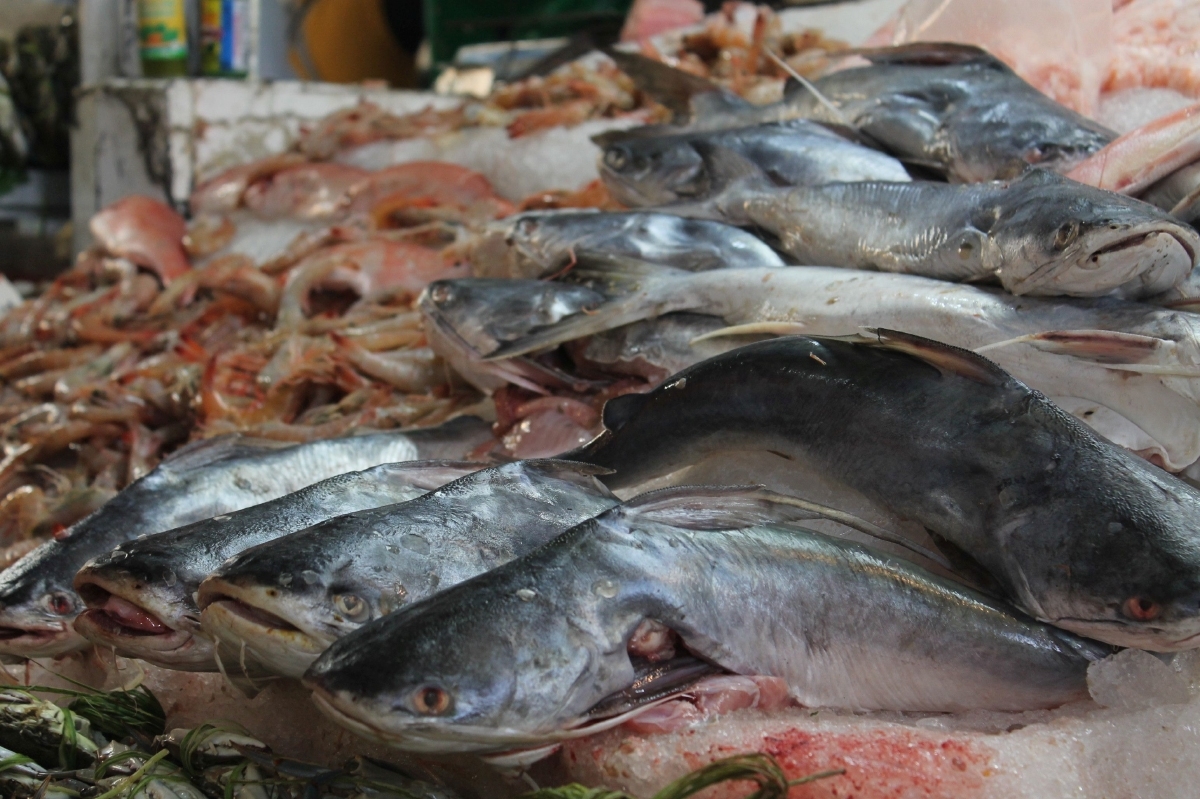 Comerciantes de pescado y mariscos culpan al alza en la gasolina de sus bajas ventas
