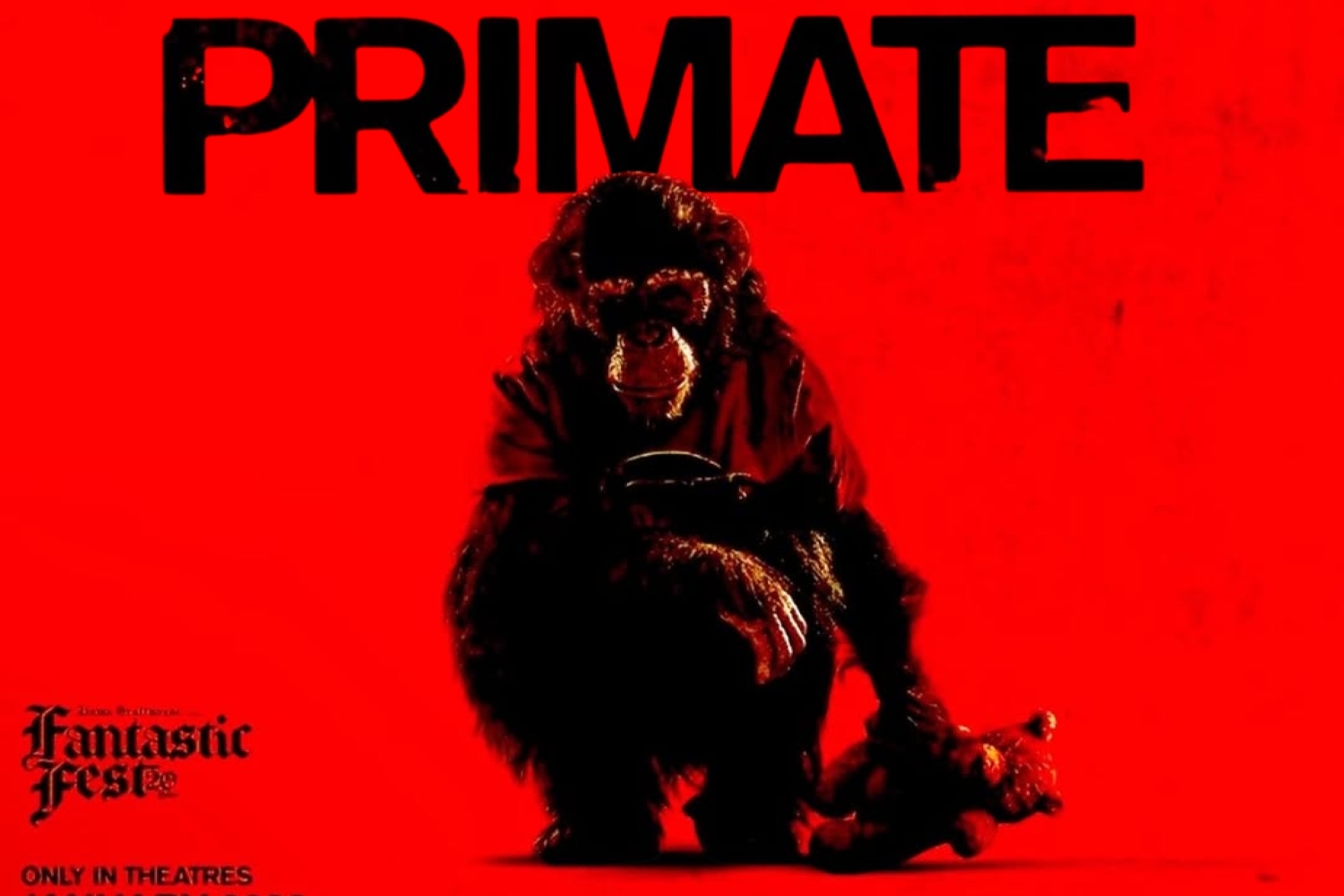 'Primate': el terror tiene nueva cara con un chimpancé fuera de control