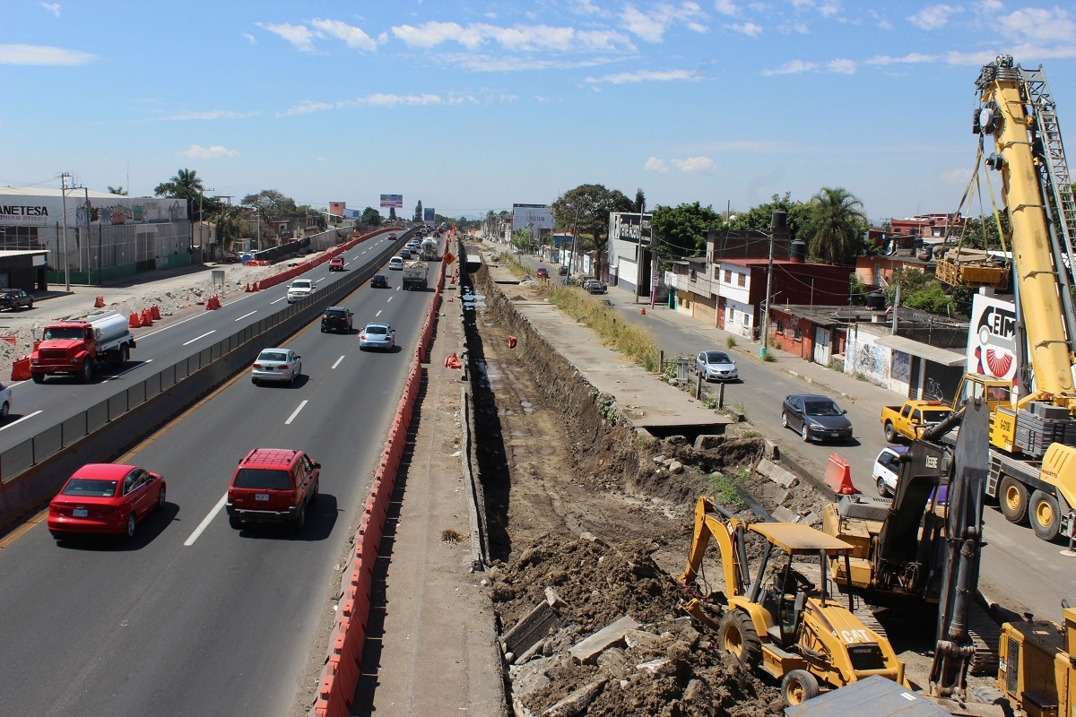 Autorizan reforestación en el Paso Exprés