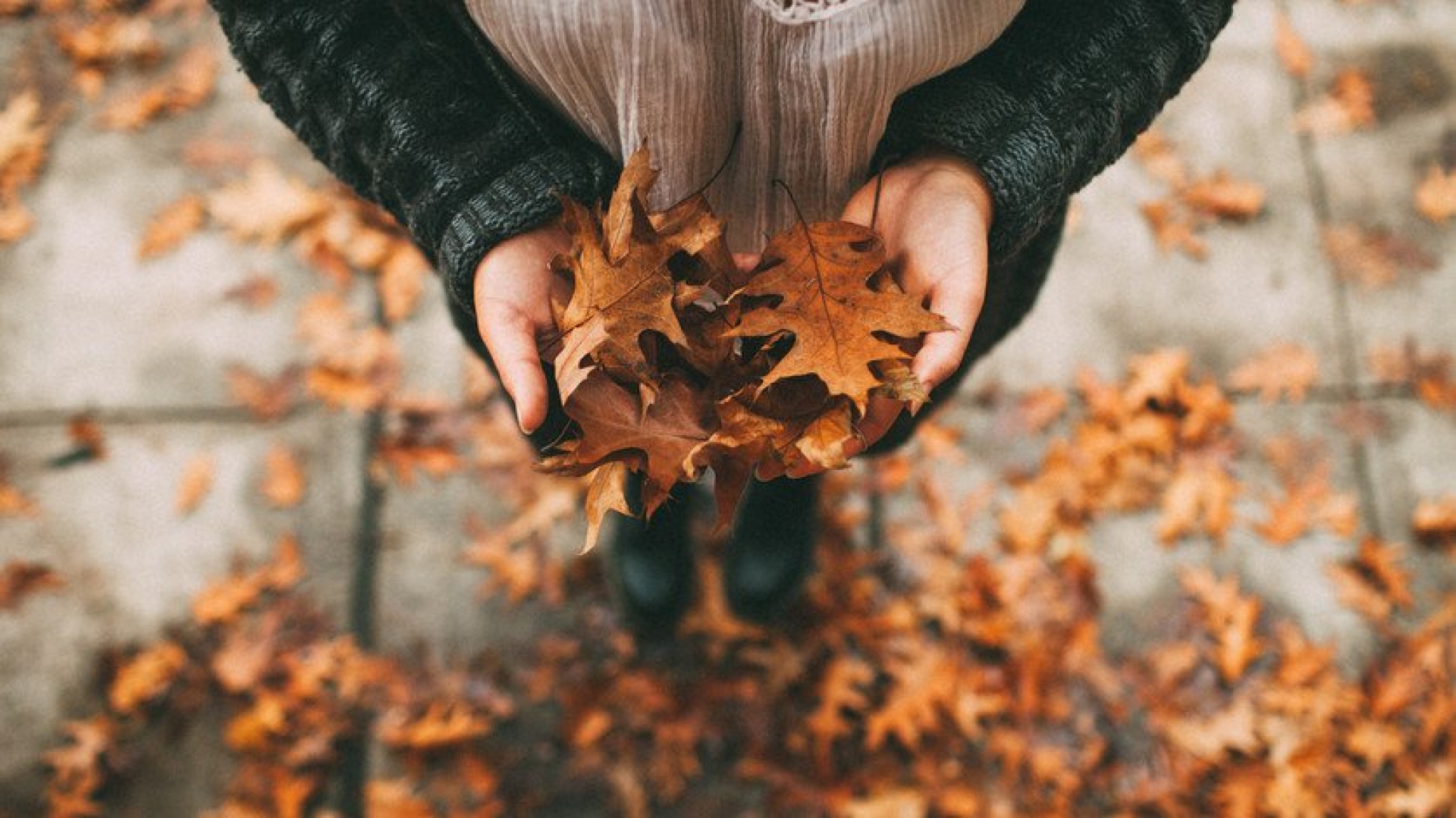 Depresión de otoño: conoce sus causas y efectos en tu cuerpo